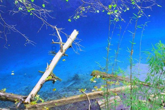 首批省乡村工匠名师名单公布 花瓷烧制技艺非遗传承人袁留福上榜